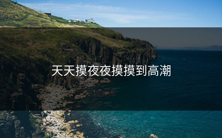 天天摸夜夜摸摸到高潮