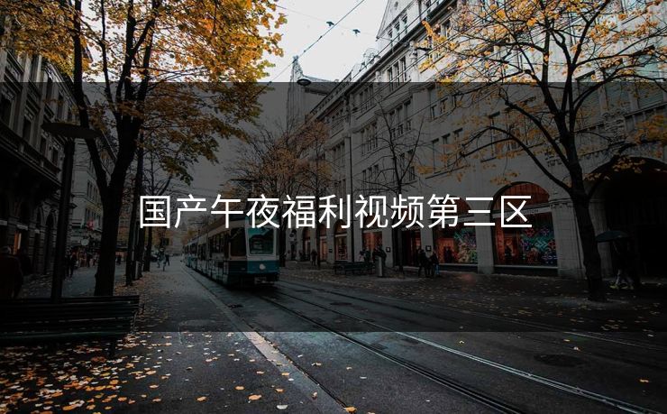 国产午夜福利视频第三区