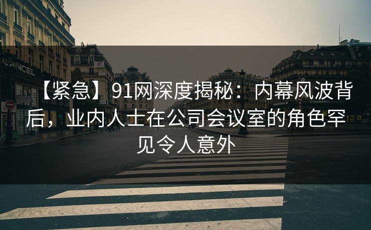 【紧急】91网深度揭秘:内幕风波背后,业内人士在公司会议室的角色罕见令人意外 【紧急】91网深度揭秘:内幕风波背后,业内人士在公司会议室的角色罕见令人意外